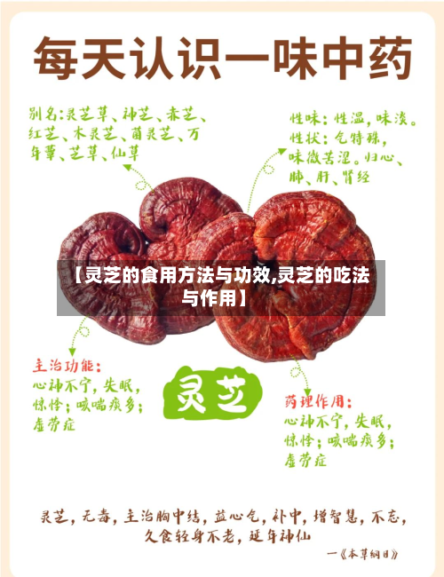 【灵芝的食用方法与功效,灵芝的吃法与作用】