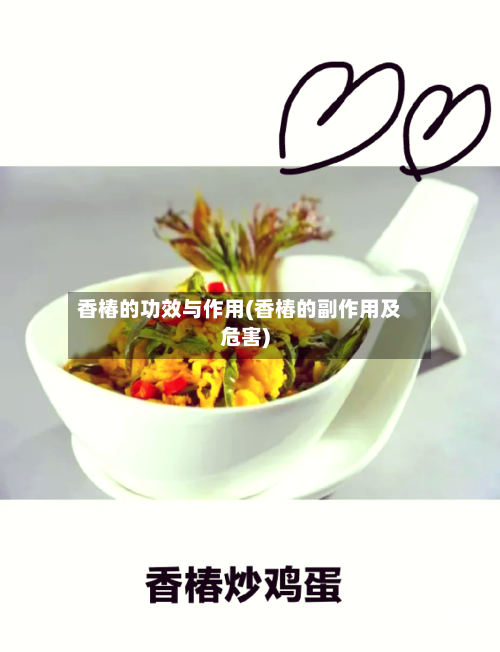 香椿的功效与作用(香椿的副作用及危害)