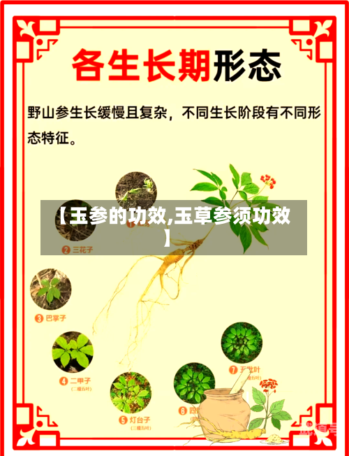 【玉参的功效,玉草参须功效】