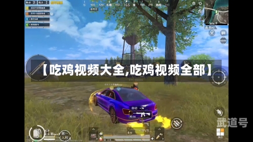 【吃鸡视频大全,吃鸡视频全部】