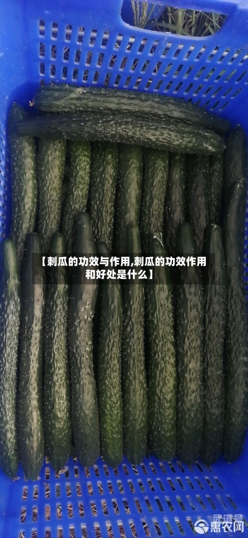 【刺瓜的功效与作用,刺瓜的功效作用和好处是什么】
