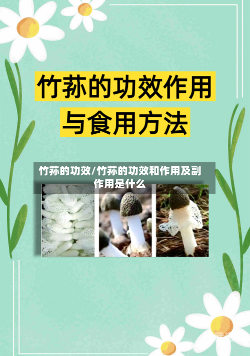 竹荪的功效/竹荪的功效和作用及副作用是什么