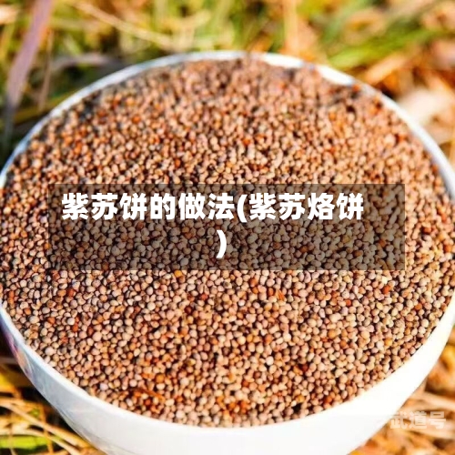 紫苏饼的做法(紫苏烙饼)