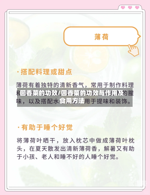 回香菜的功效/回香菜的功效与作用及食用方法