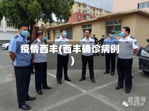 疫情西丰(西丰确诊病例)