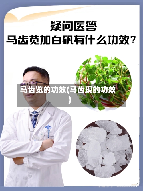 马齿览的功效(马齿现的功效)