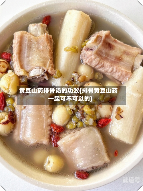 黄豆山药排骨汤的功效(排骨黄豆山药一起可不可以的)