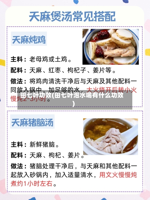 田七叶功效(田七叶泡水喝有什么功效)