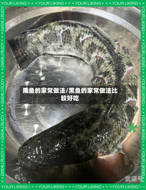 黑鱼的家常做法/黑鱼的家常做法比较好吃-第3张图片