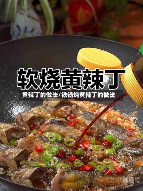 黄辣丁的做法/铁锅炖黄辣丁的做法