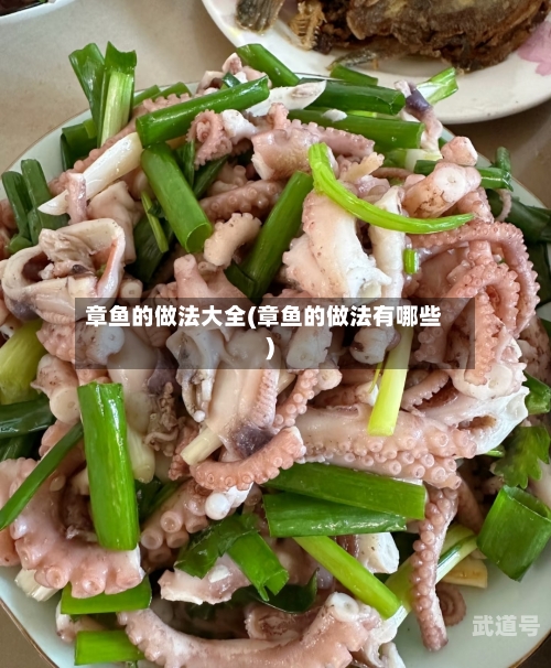 章鱼的做法大全(章鱼的做法有哪些)