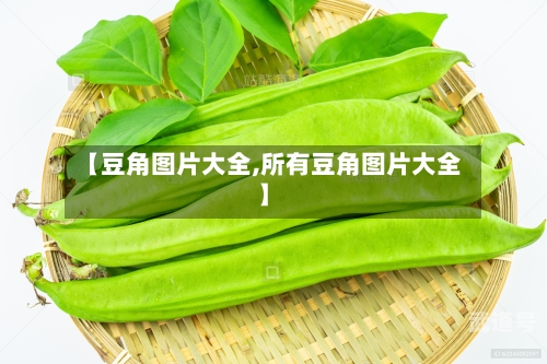 【豆角图片大全,所有豆角图片大全】