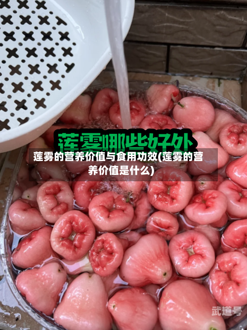 莲雾的营养价值与食用功效(莲雾的营养价值是什么)