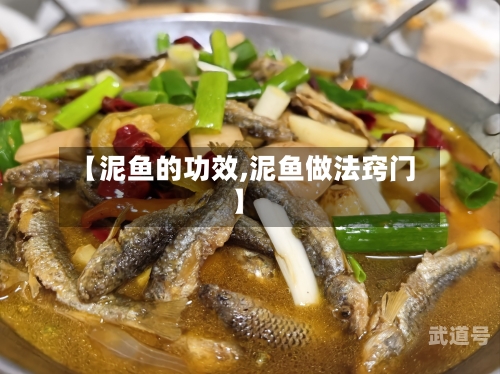 【泥鱼的功效,泥鱼做法窍门】