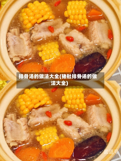 排骨汤的做法大全(猪肚排骨汤的做法大全)