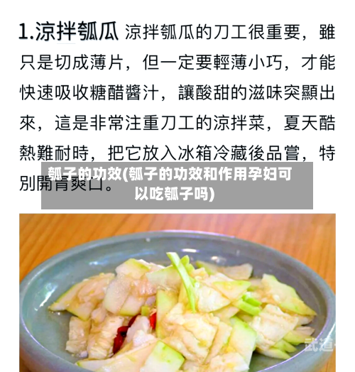 瓠子的功效(瓠子的功效和作用孕妇可以吃瓠子吗)