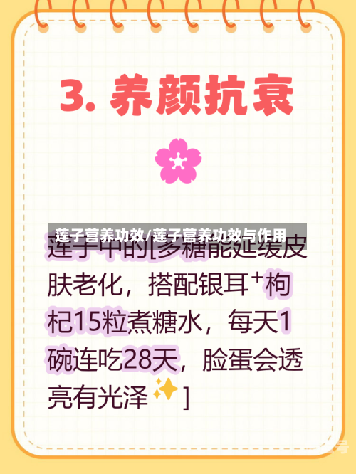 莲子营养功效/莲子营养功效与作用