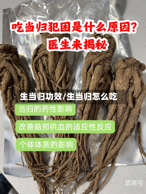 生当归功效/生当归怎么吃