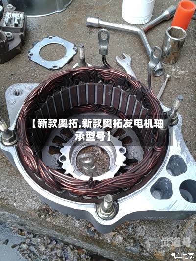 【新款奥拓,新款奥拓发电机轴承型号】