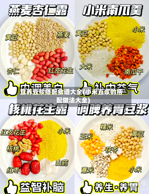 营养豆浆搭配食谱大全(小米豆浆的搭配做法大全)