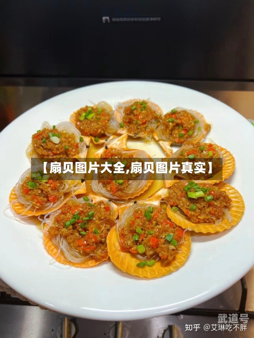 【扇贝图片大全,扇贝图片真实】
