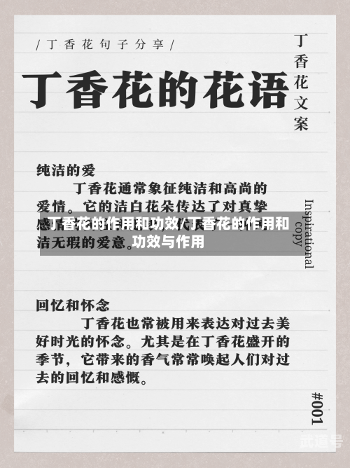 丁香花的作用和功效/丁香花的作用和功效与作用
