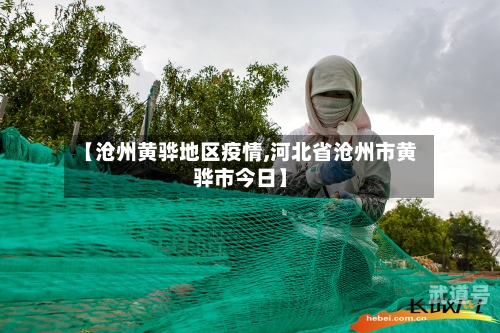 【沧州黄骅地区疫情,河北省沧州市黄骅市今日】