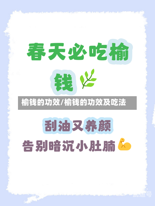 榆钱的功效/榆钱的功效及吃法