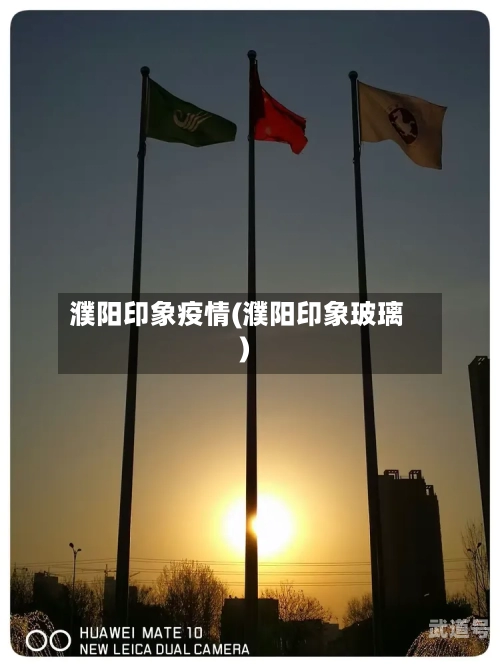 濮阳印象疫情(濮阳印象玻璃)
