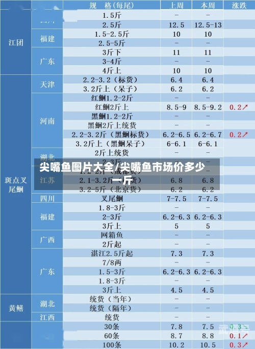 尖嘴鱼图片大全/尖嘴鱼市场价多少一斤