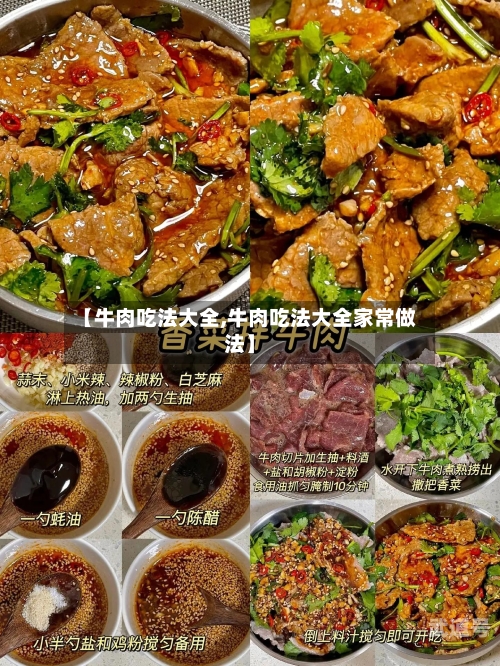 【牛肉吃法大全,牛肉吃法大全家常做法】