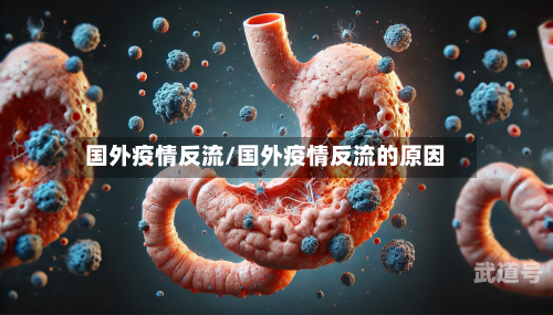 国外疫情反流/国外疫情反流的原因