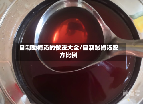 自制酸梅汤的做法大全/自制酸梅汤配方比例
