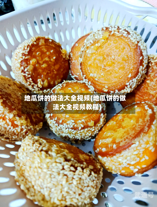 地瓜饼的做法大全视频(地瓜饼的做法大全视频教程)