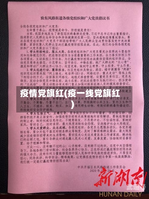 疫情党旗红(疫一线党旗红)