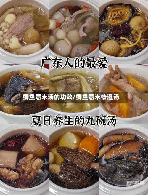 鲫鱼薏米汤的功效/鲫鱼薏米祛湿汤