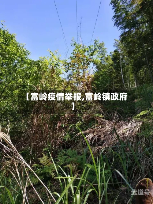 【富岭疫情举报,富岭镇政府】-第2张图片