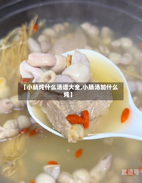 【小肠炖什么汤谱大全,小肠汤加什么炖】