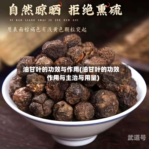 油甘叶的功效与作用(油甘叶的功效作用与主治与用量)