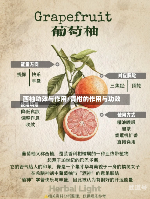西柚功效与作用/青柑的作用与功效
