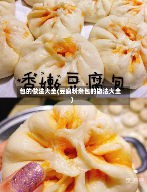包的做法大全(豆腐粉条包的做法大全)-第3张图片