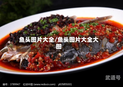 鱼头图片大全/鱼头图片大全大图