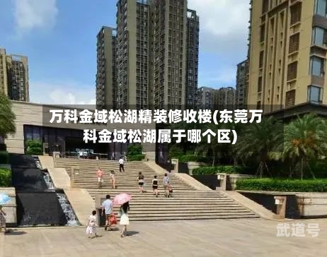 万科金域松湖精装修收楼(东莞万科金域松湖属于哪个区)