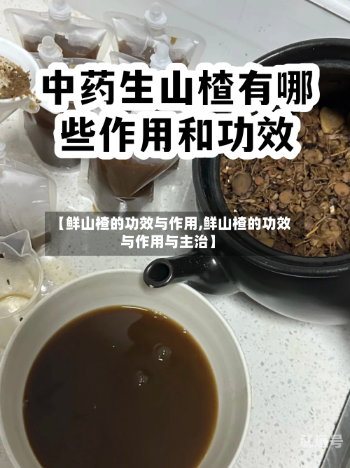 【鲜山楂的功效与作用,鲜山楂的功效与作用与主治】