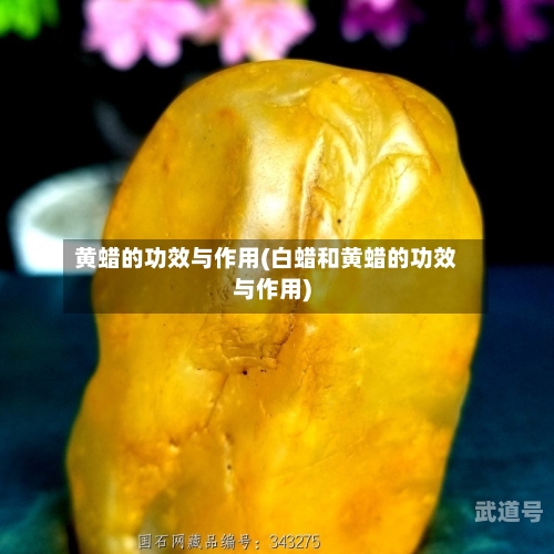 黄蜡的功效与作用(白蜡和黄蜡的功效与作用)