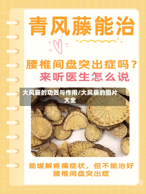 大风藤的功效与作用/大风藤的图片大全