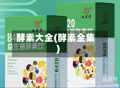 酵素大全(酵素全集)