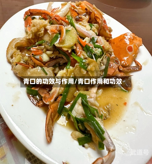 青口的功效与作用/青口作用和功效