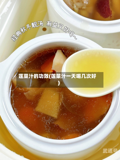 莲菜汁的功效(莲菜汁一天喝几次好)-第3张图片