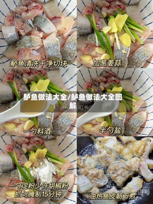 鲈鱼做法大全/鲈鱼做法大全图解